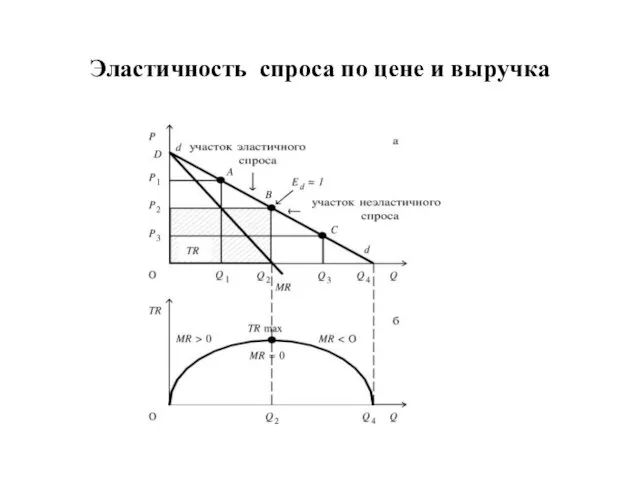 Эластичность спроса по цене и выручка