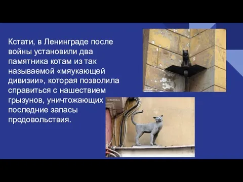 Кстати, в Ленинграде после войны установили два памятника котам из так