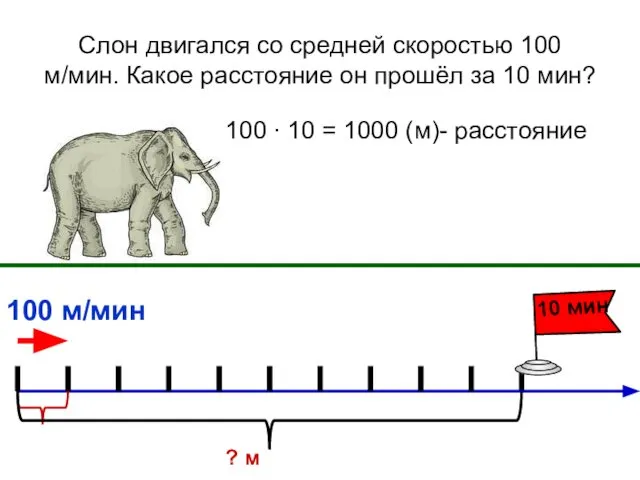 Слон двигался со средней скоростью 100 м/мин. Какое расстояние он прошёл