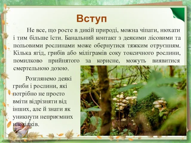 Вступ Не все, що росте в дикій природі, можна чіпати, нюхати