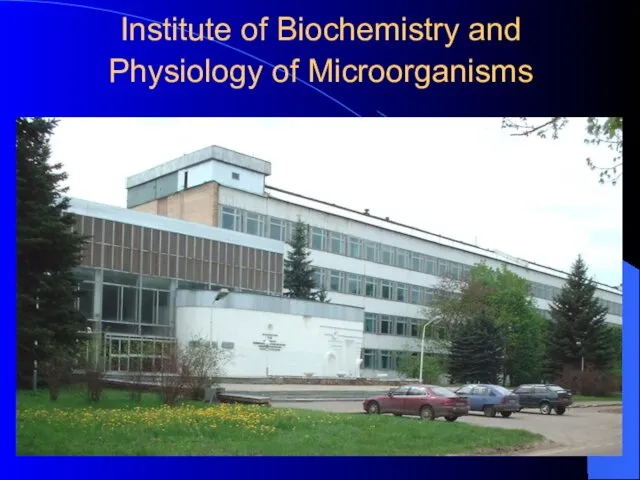 Institute of Biochemistry and Physiology of Microorganisms