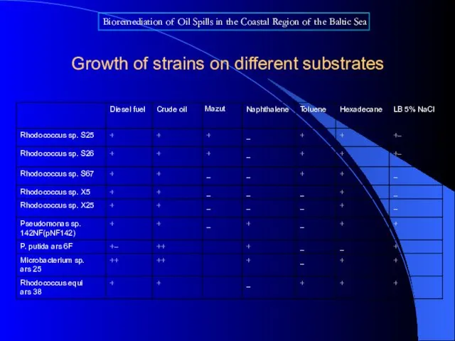 Growth of strains on different substrates Bioremediation of Oil Spills in
