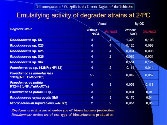 Emulsifying activity of degrader strains at 24ºC Bioremediation of Oil Spills