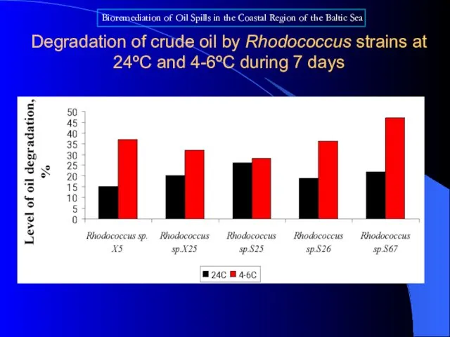 Degradation of crude oil by Rhodococcus strains at 24ºC and 4-6ºC