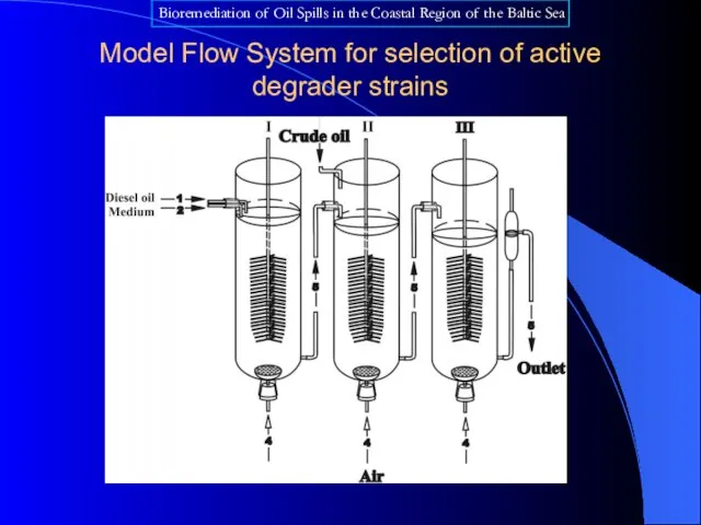 Model Flow System for selection of active degrader strains Bioremediation of