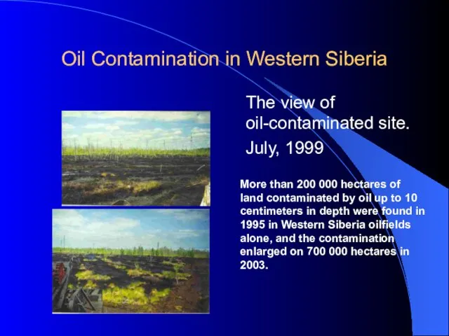 Oil Contamination in Western Siberia The view of oil-contaminated site. July,