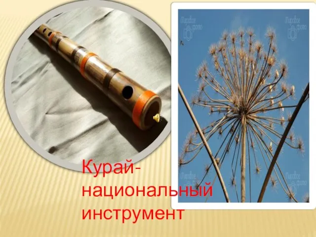 Курай-национальный инструмент