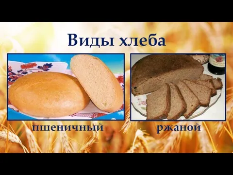 Виды хлеба пшеничный ржаной