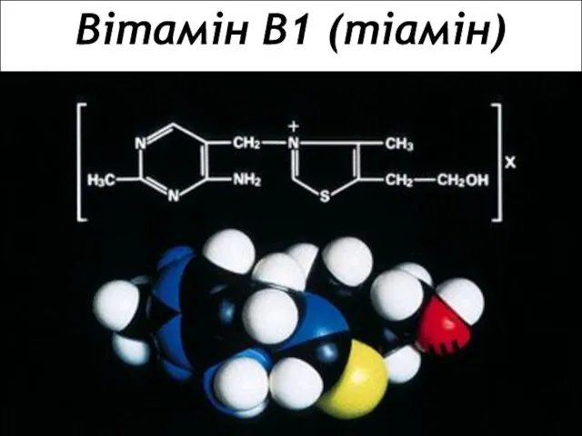 Вітамін В1 (тіамін)