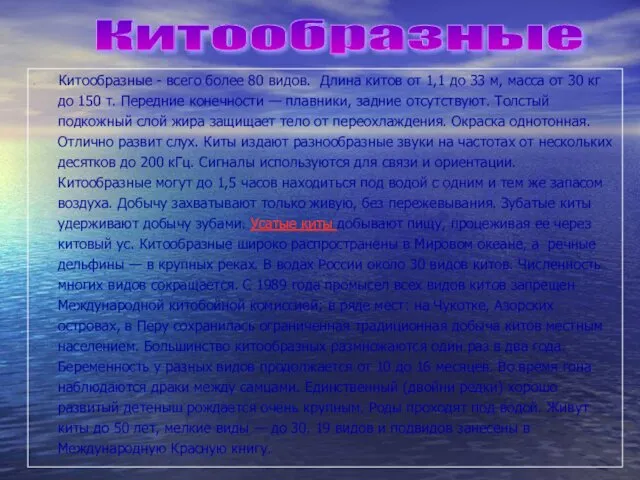 Китообразные - всего более 80 видов. Длина китов от 1,1 до