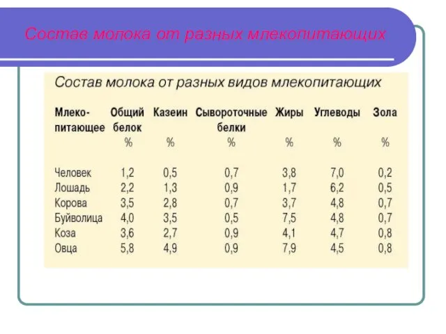 Состав молока от разных млекопитающих