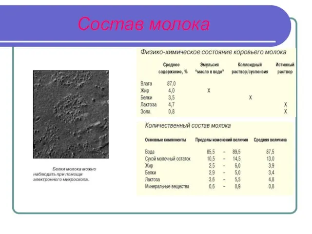 Состав молока