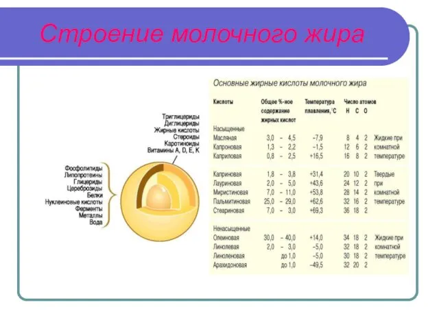 Строение молочного жира