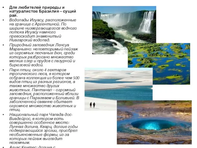 Для любителей природы и натуралистов Бразилия – сущий рай. Водопады Игуасу,