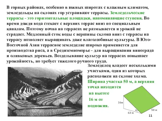 В горных районах, особенно в южных широтах с влажным климатом, земледельцы