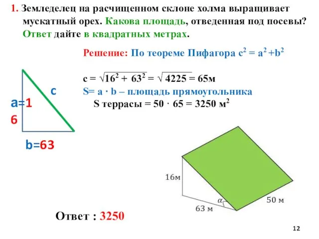 Ответ : 3250 1. Земледелец на расчищенном склоне холма выращивает мускатный