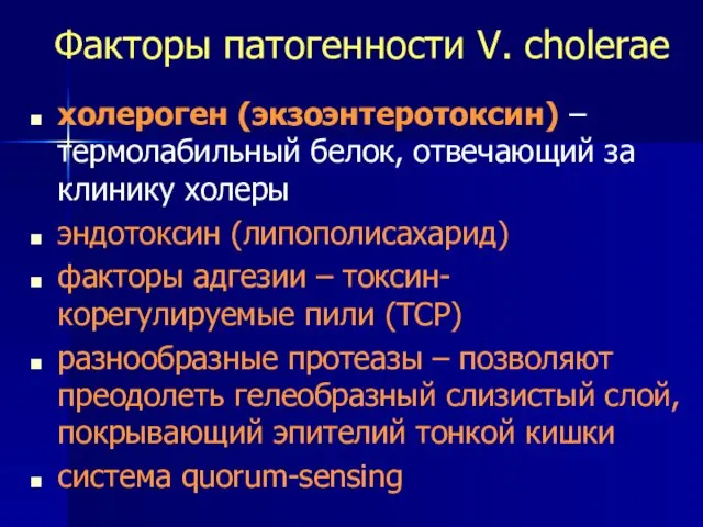 Факторы патогенности V. cholerae холероген (экзоэнтеротоксин) – термолабильный белок, отвечающий за