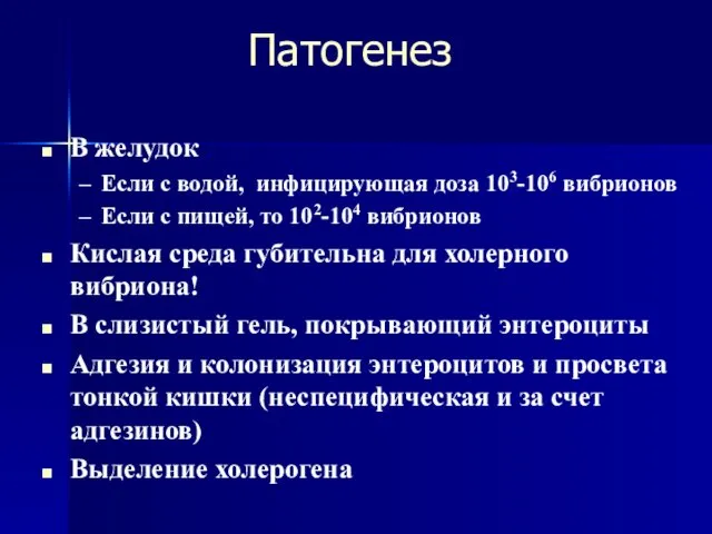 Патогенез В желудок Если с водой, инфицирующая доза 103-106 вибрионов Если