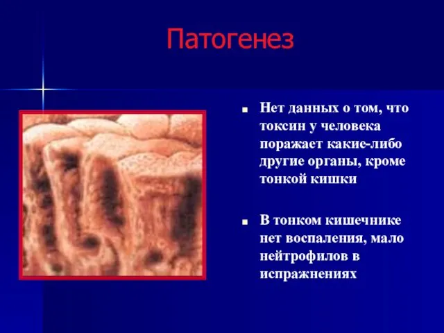 Патогенез Нет данных о том, что токсин у человека поражает какие-либо