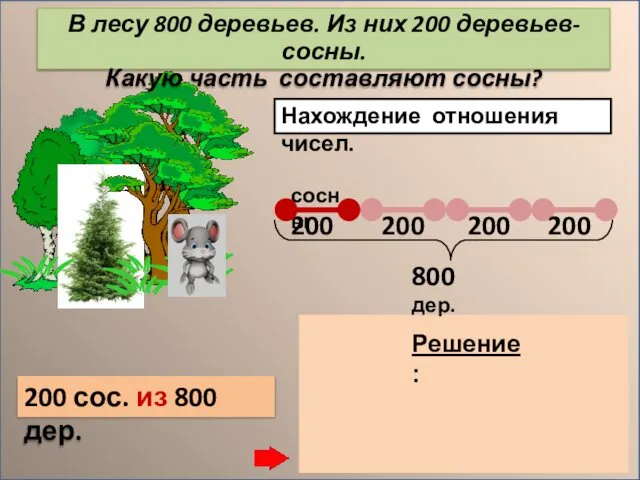 Нахождение отношения чисел. 200 сос. из 800 дер. 200 : 800