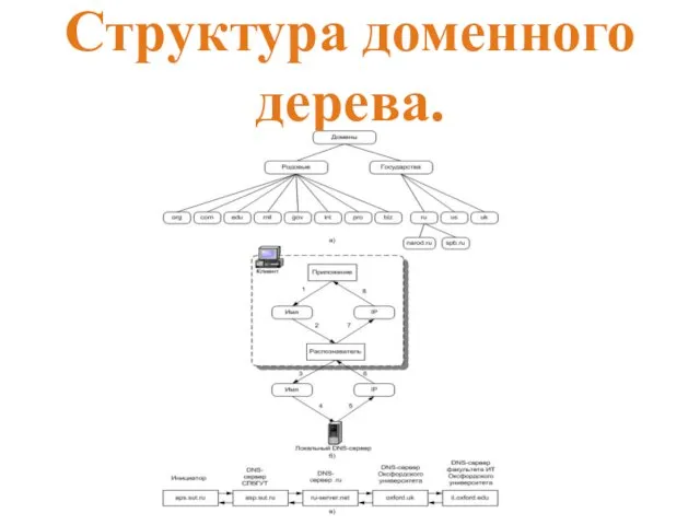 Структура доменного дерева.