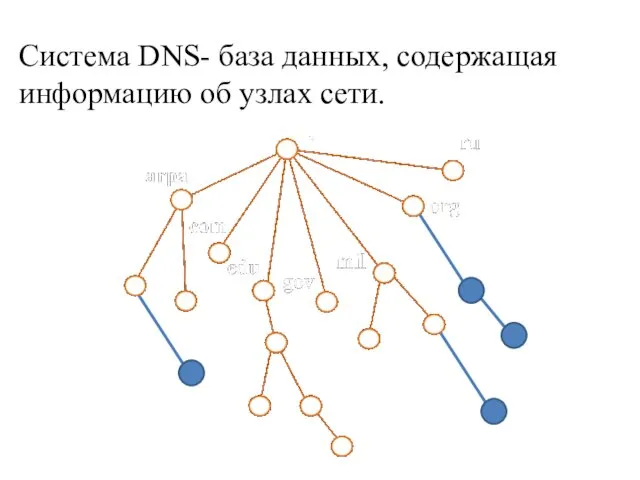 Система DNS- база данных, содержащая информацию об узлах сети.