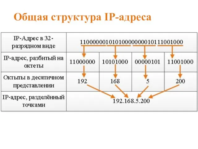 Общая структура IP-адреса