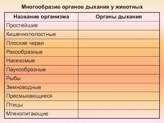 Многообразие органов дыхания у животных