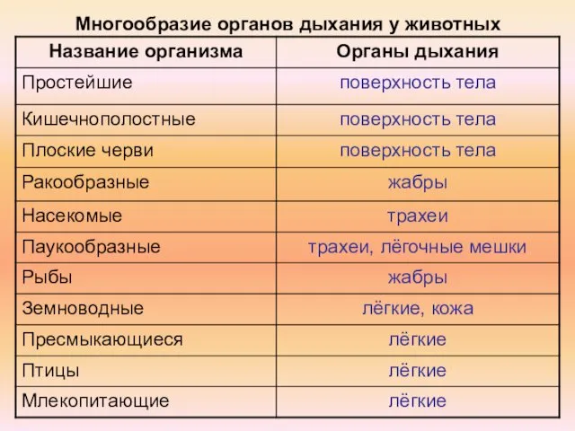 Многообразие органов дыхания у животных