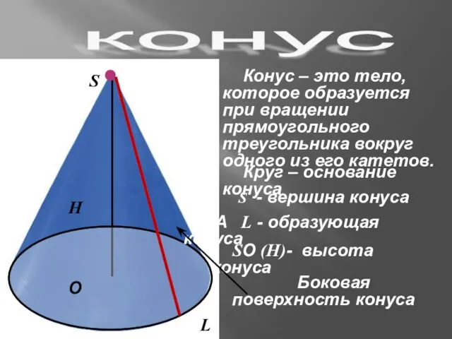 конус Конус – это тело, которое образуется при вращении прямоугольного треугольника