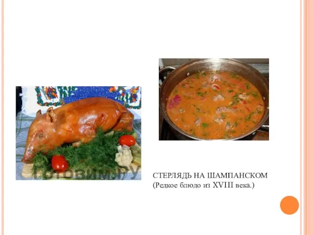 СТЕРЛЯДЬ НА ШАМПАНСКОМ (Редкое блюдо из XVIII века.)