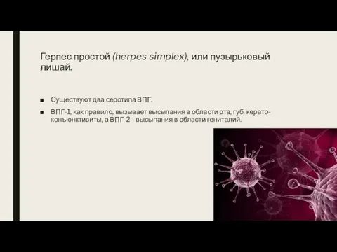 Герпес простой (herpes simplex), или пузырьковый лишай. Существуют два серотипа ВПГ.