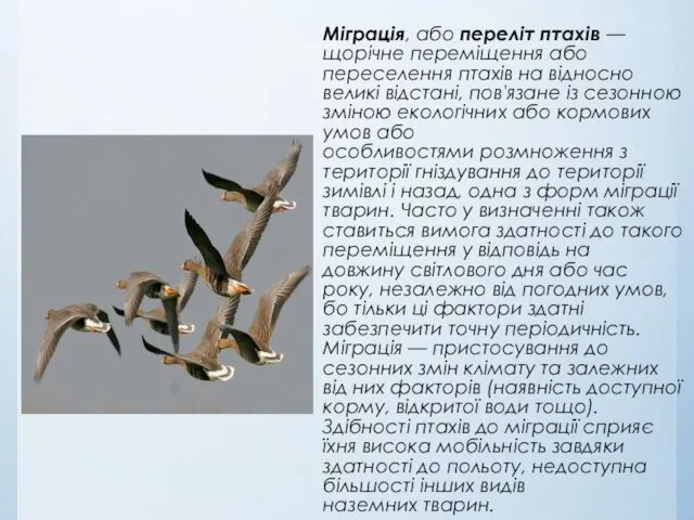 Міграція, або переліт птахів — щорічне переміщення або переселення птахів на