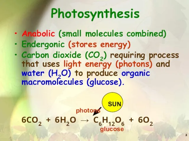 Photosynthesis Anabolic (small molecules combined) Endergonic (stores energy) Carbon dioxide (CO2)