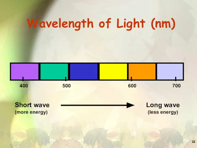 Wavelength of Light (nm)