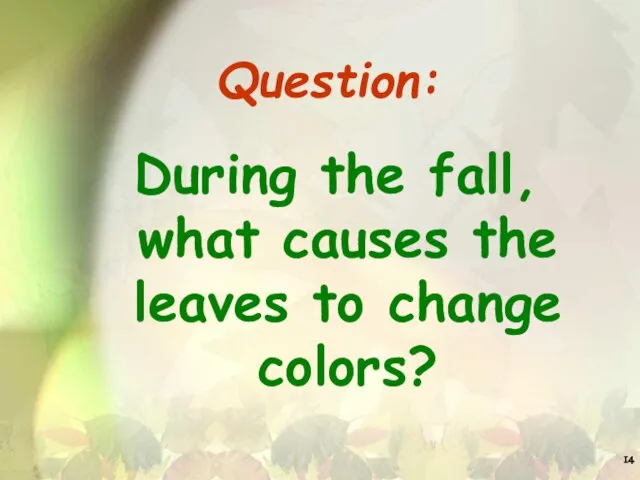 Question: During the fall, what causes the leaves to change colors?