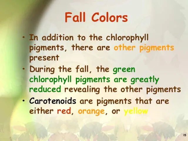 Fall Colors In addition to the chlorophyll pigments, there are other