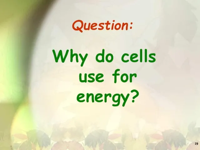 Question: Why do cells use for energy?