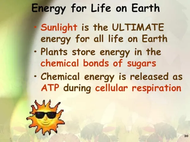 Energy for Life on Earth Sunlight is the ULTIMATE energy for