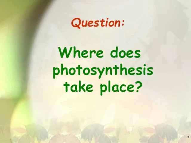 Question: Where does photosynthesis take place?