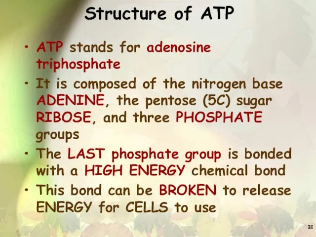 Structure of ATP ATP stands for adenosine triphosphate It is composed