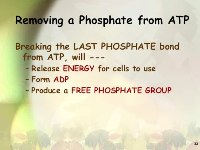 Removing a Phosphate from ATP Breaking the LAST PHOSPHATE bond from