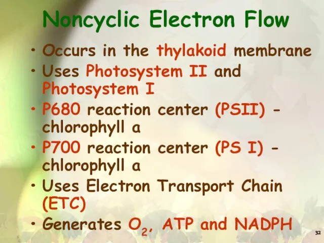 Noncyclic Electron Flow Occurs in the thylakoid membrane Uses Photosystem II