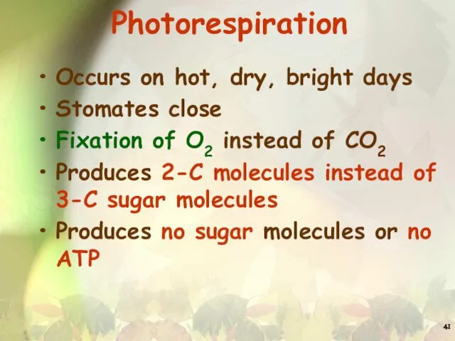 Photorespiration Occurs on hot, dry, bright days Stomates close Fixation of
