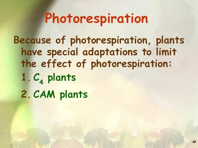 Photorespiration Because of photorespiration, plants have special adaptations to limit the