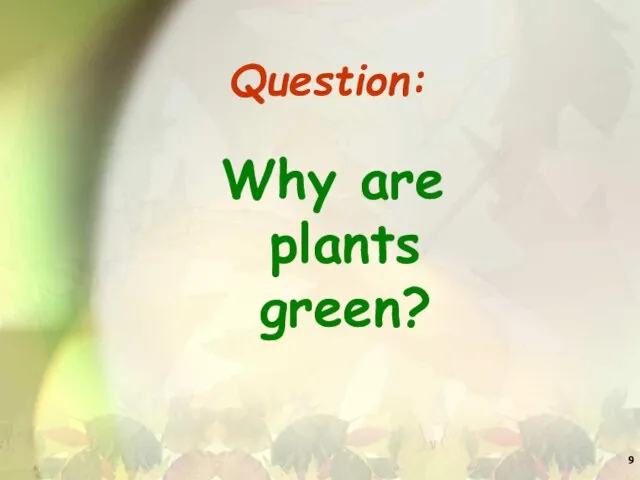 Question: Why are plants green?