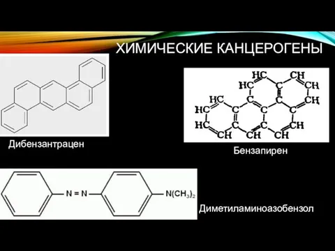 ХИМИЧЕСКИЕ КАНЦЕРОГЕНЫ Бензапирен Дибензантрацен Диметиламиноазобензол