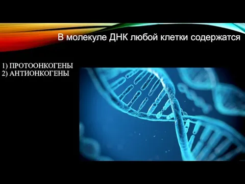 1) ПРОТООНКОГЕНЫ 2) АНТИОНКОГЕНЫ В молекуле ДНК любой клетки содержатся