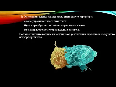 11) Опухолевая клетка меняет свою антигенную структуру: а) она утрачивает часть