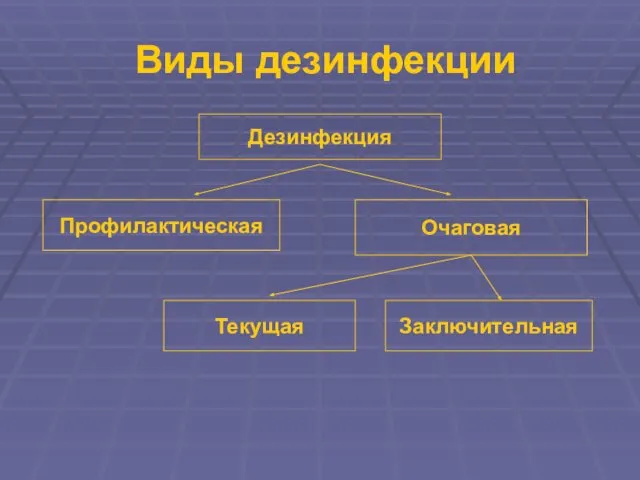 Виды дезинфекции Дезинфекция Профилактическая Очаговая Текущая Заключительная